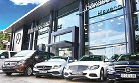 Trùm Mercedes Việt tăng gấp rưỡi nhân sự trong 9 tháng đầu năm, doanh thu tăng vọt nhờ mua công ty bán xe VinFast