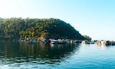 Nhiều sai phạm về đất đai tại đặc khu Thổ Châu