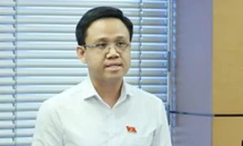 Đại biểu đề nghị đơn giản hóa thủ tục đầu tư điện mặt trời mái nhà tự sản, tự tiêu