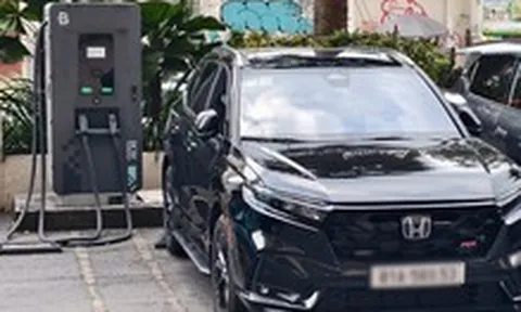 Xe điện thống trị doanh số, vì sao các hãng vẫn ồ ạt đổ bộ xe hybrid vào Việt Nam?