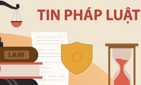 Bắt tạm giam người phụ nữ đăng nhiều bài viết có nội dung xấu