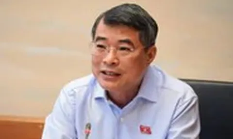 Thủ tướng: Sẽ tiếp tục làm rõ khái niệm đất bỏ hoang, đất chậm đưa vào sử dụng