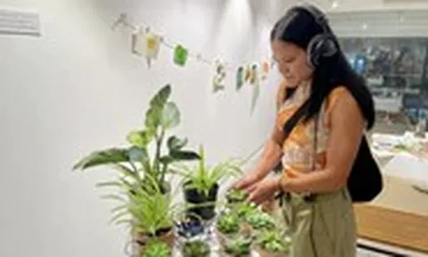 Đến triển lãm của nghệ sĩ Pháp, xem cây cối phát tín hiệu