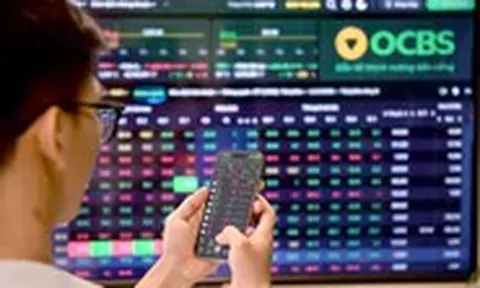 Lợi nhuận ngành chứng khoán quý 3: Loạt ông lớn hụt hơi, nhiều doanh nghiệp nhỏ gặp khó