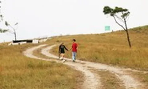 Ngắm đồi Phượng Hoàng ở Quảng Ninh vào mùa nhuộm vàng đất trời