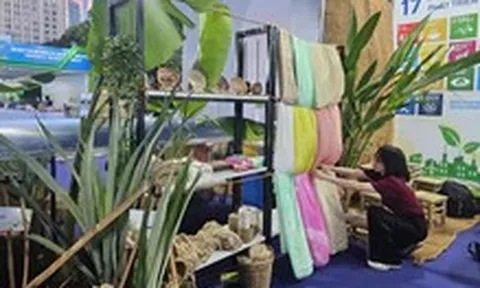 Vỏ tôm, vỏ thơm, vỏ dừa…  biến thành nguyên liệu triệu đô