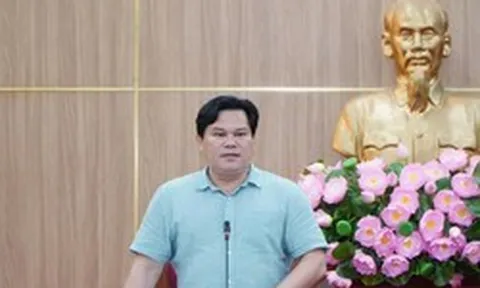 Quảng Ngãi tìm nguồn 1,5 triệu m3 đất san lấp cho dự án VSIP I