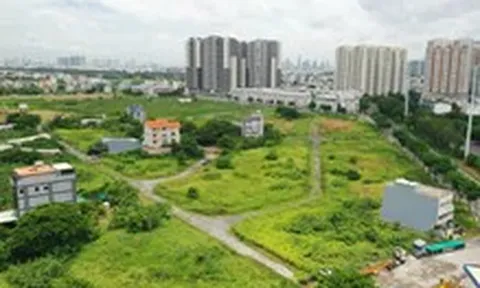 Đề xuất thuế 0,2% với đất bỏ hoang, thị trường phản ứng ra sao?