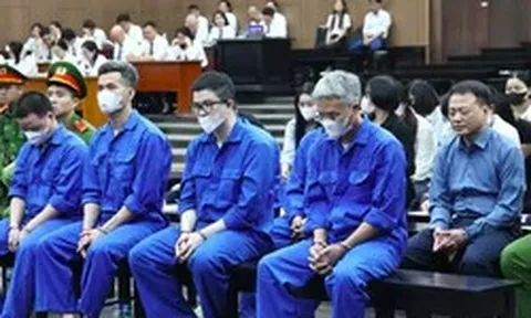 Tan cửa nát nhà vì lời trấn an ‘của Shark Bình đó, yên tâm mà nạp’