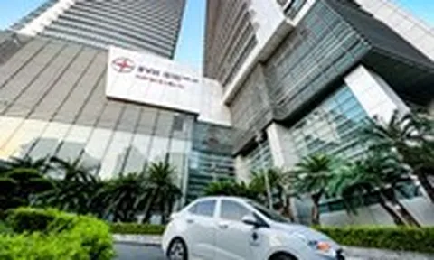 EVN, SCIC, Agribank... tiếp tục nắm 100% vốn nhà nước, loạt ngân hàng cơ cấu lại vốn