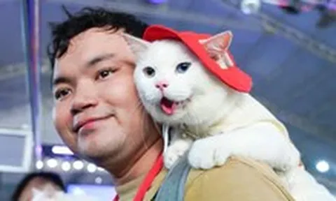 Chó mèo hóa trang Halloween, ai là quán quân?