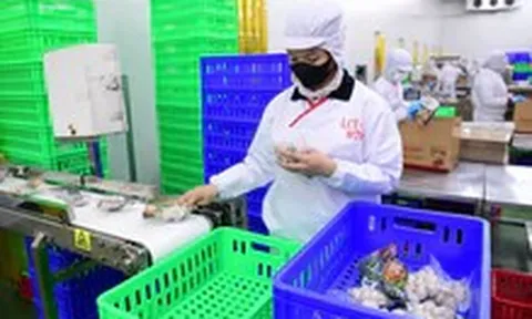 Từ năm 2027, doanh nghiệp tự công bố xuất xứ hàng Việt, không cần xin chứng nhận