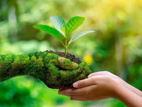 Tăng cường trách nhiệm báo cáo môi trường tại các nền kinh tế đang phát triển