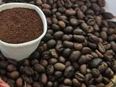 Giá cà phê thế giới biến động trái chiều, tại Việt Nam giá ra sao?