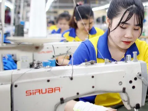 Tin vui “đặc biệt”: Doanh nghiệp SME được miễn thuế thu nhập trong 3 năm, startup đổi mới sáng tạo nhận “mưa” ưu đãi thuế