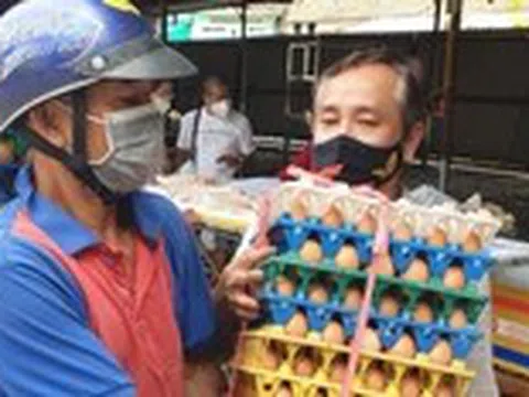 Xôn xao thông tin sản xuất trứng gà giả ở Việt Nam, Hiệp hội Gia cầm lên tiếng