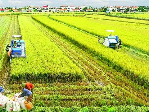 Phát triển nông nghiệp Việt Nam bền vững trong kỷ nguyên mới