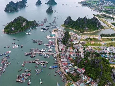 Hàng chục cán bộ ở huyện Vân Đồn xin nghỉ hưu sớm
