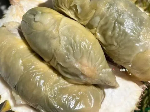 Sầu riêng nhìn như nhũn chảy nước mốc xanh, bán giá sốc 700.000 đồng/kg