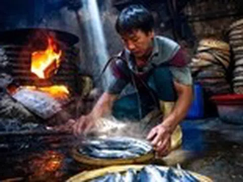 Nghề hấp cá, mực ở Quy Nhơn: Giữ lửa trong gian bếp nồng mùi biển