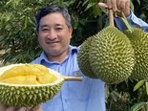 Bảy vấn đề của ngành sầu riêng cần khắc phục cấp bách