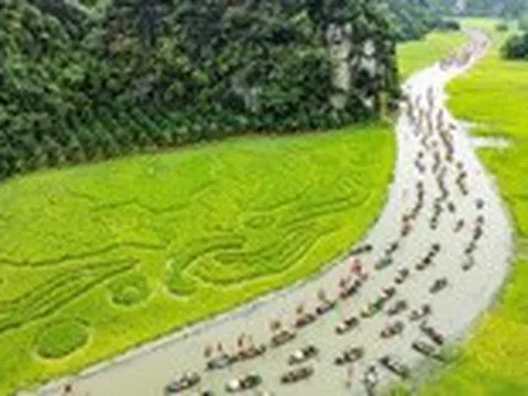 Lúa chín gọi mời, Ninh Bình khai hội ‘Sắc vàng Tam Cốc - Tràng An’