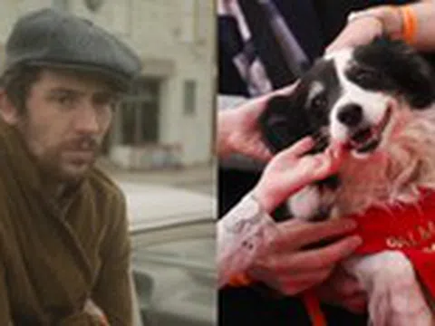 Cannes bước qua ngày cuối cùng với hai phim xuất sắc và giải Palm Dog danh giá