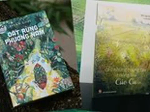 Trên ruộng rau mơ mộng