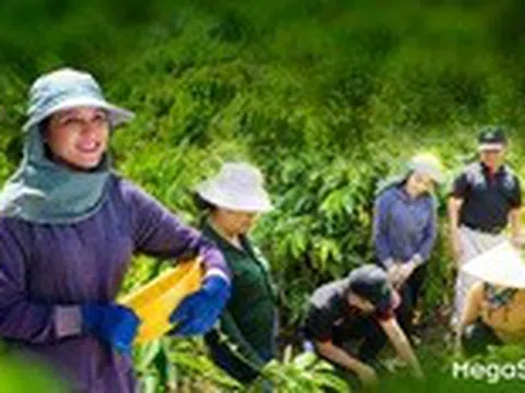 Hành trình 30 năm Nestlé Việt Nam: Vững niềm tin, kiên định mục tiêu phát triển bền vững