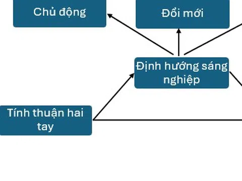 Thảo luận và đề xuất hướng nghiên cứu về tác động của các yếu tố mô hình tổ chức thuận hai tay đến phát triển bền vững - Vai trò trung gian của định hướng sáng nghiệp