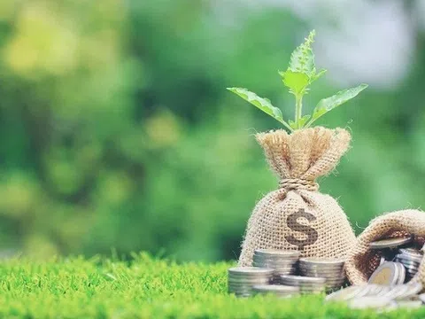 Nghiên cứu chính sách tín dụng xanh: Kinh nghiệm từ Trung Quốc và bài học cho Việt Nam