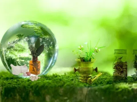 Các nhân tố ảnh hưởng đến Hành vi mua mỹ phẩm xanh của sinh viên Việt Nam: Nhìn từ Ý định mua