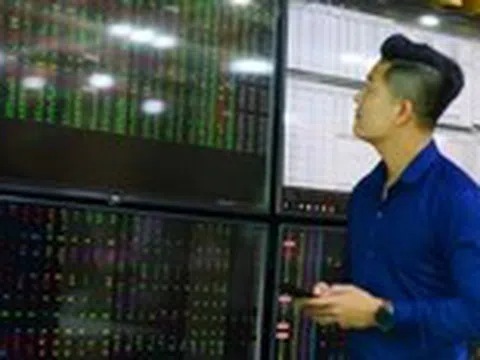 'Cá mập' đang bỏ lỡ cơ hội kiếm tiền từ thị trường chứng khoán?