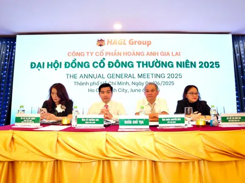 Ứng viên được nhóm Thaigroup và LPBS để cử vào HĐQT Hoàng Anh Gia Lai đã rút hồ sơ