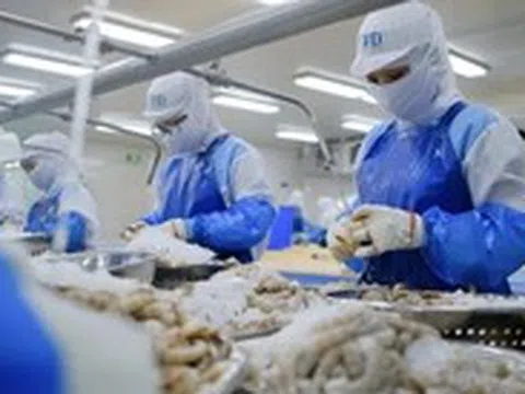 Mức thuế chống bán phá giá tôm Việt Nam vào Mỹ tăng đột biến, doanh nghiệp kêu oan