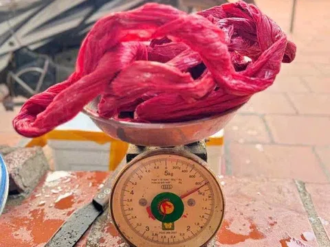 Mua 2,2kg cua ở Hạ Long, khách bức xúc tốn thêm 500.000 đồng tiền dây buộc