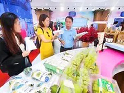 Ninh Thuận mang đặc sản đến TP.HCM 'chào hàng', tìm kiếm đối tác