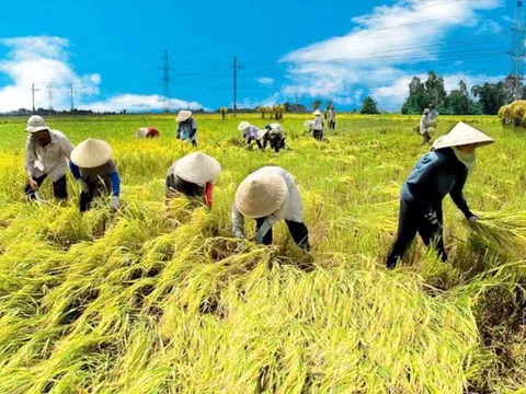 Nhân tố ảnh hưởng đến quyết định tham gia hợp tác xã của nông dân trồng lúa ở Đồng bằng sông Cửu Long