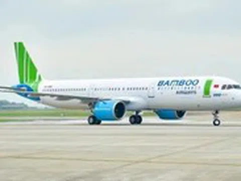 Chủ tịch Bamboo Airways xin từ nhiệm