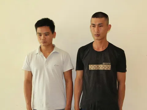 Bắt tạm giam Trần Đình Hào và Phạm Đình Thế