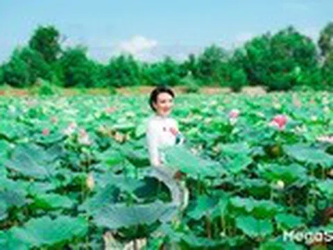 Về xứ sở sen hồng trải nghiệm du lịch xanh, an lành