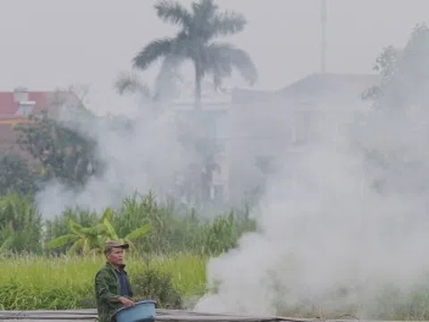 Dân đốt rơm, khói trắng trời Hà Nội, hun người đi đường