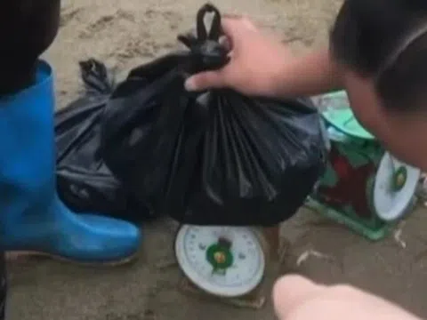 Người bán hàng rong cân thiếu hải sản cho du khách ở Sầm Sơn