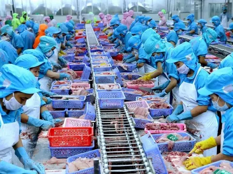 Một số giải pháp nhằm đẩy mạnh xuất khẩu thủy sản Việt Nam trong thời gian tới