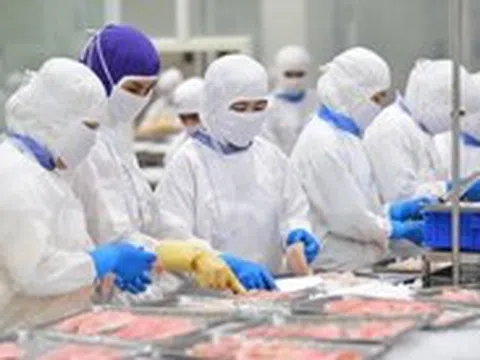 Thủy sản Việt tăng tốc ấn tượng, VASEP kiến nghị Thủ tướng có biện pháp bảo vệ