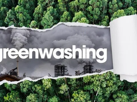 Ảnh hưởng của greenwashing tới ý định mua hàng xanh của người tiêu dùng