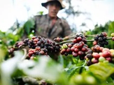 Doanh nghiệp Việt tìm cơ hội xuất khẩu giữa xung đột Trung Đông