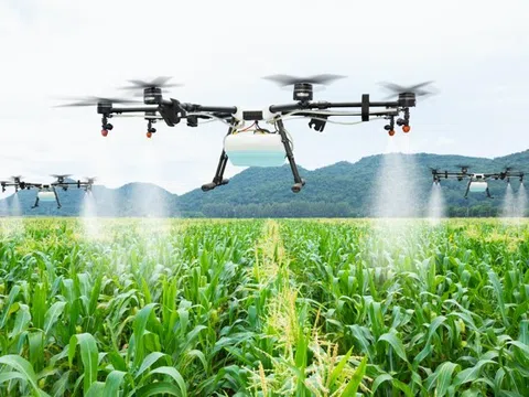 Nông nghiệp thông minh thích ứng biến đổi khí hậu tại Thái Lan và bài học cho Việt Nam