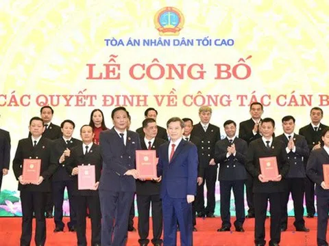 Bổ nhiệm 29 Chánh tòa và Chánh án các tỉnh thành mới tại tòa án Nhân dân tối cao