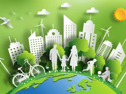 Văn hóa tổ chức và lãnh đạo trong việc thúc đẩy quản trị nguồn nhân lực xanh